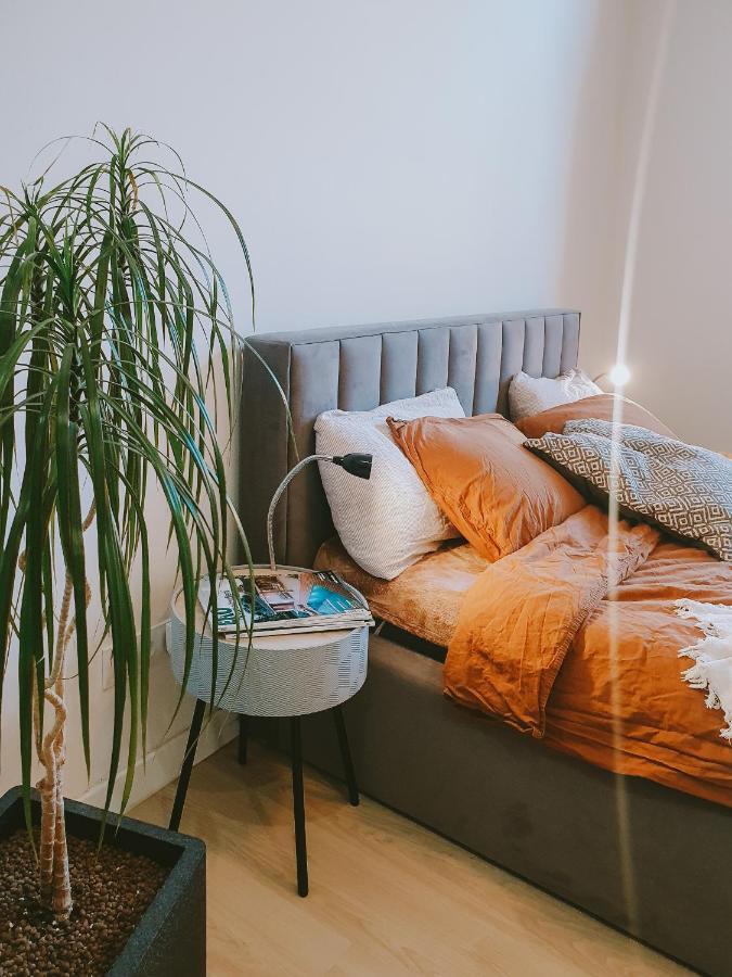 Priestranny Apartman V Centre Kosice Luaran gambar
